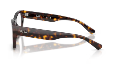 Ray-Ban 5448